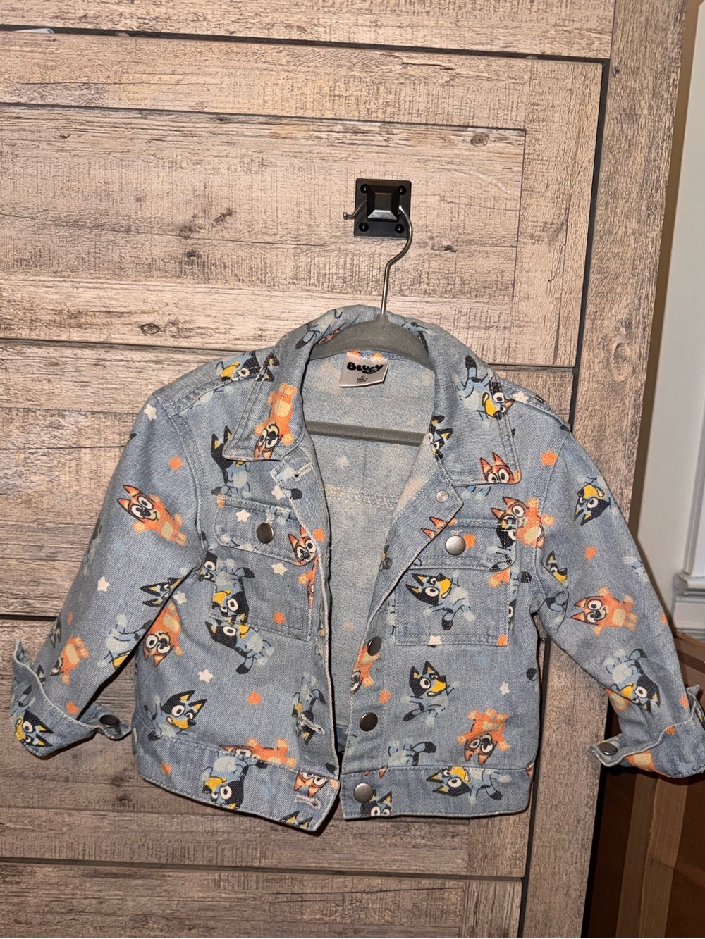 Toddler Girl 2T Bluey and Bingo Jean Jacket
